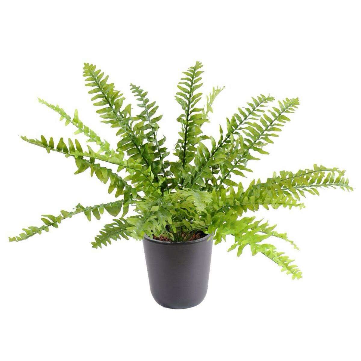 Plante artificielle Fougère Boston en piquet - intérieur - H.48cm Ø.65cm