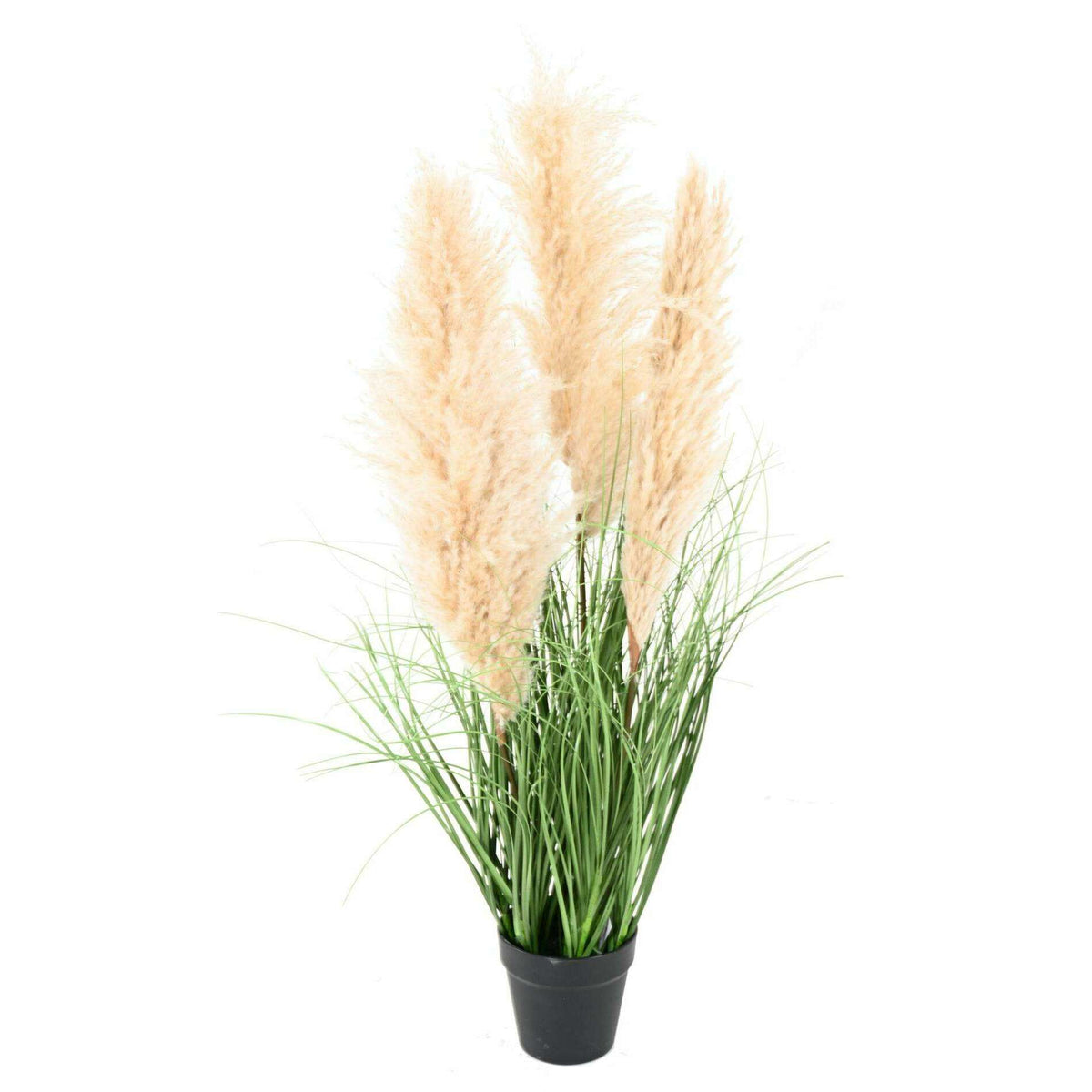 Plante artificielle Graminée Carex - 3 plumeaux naturels - H.105cm vert -