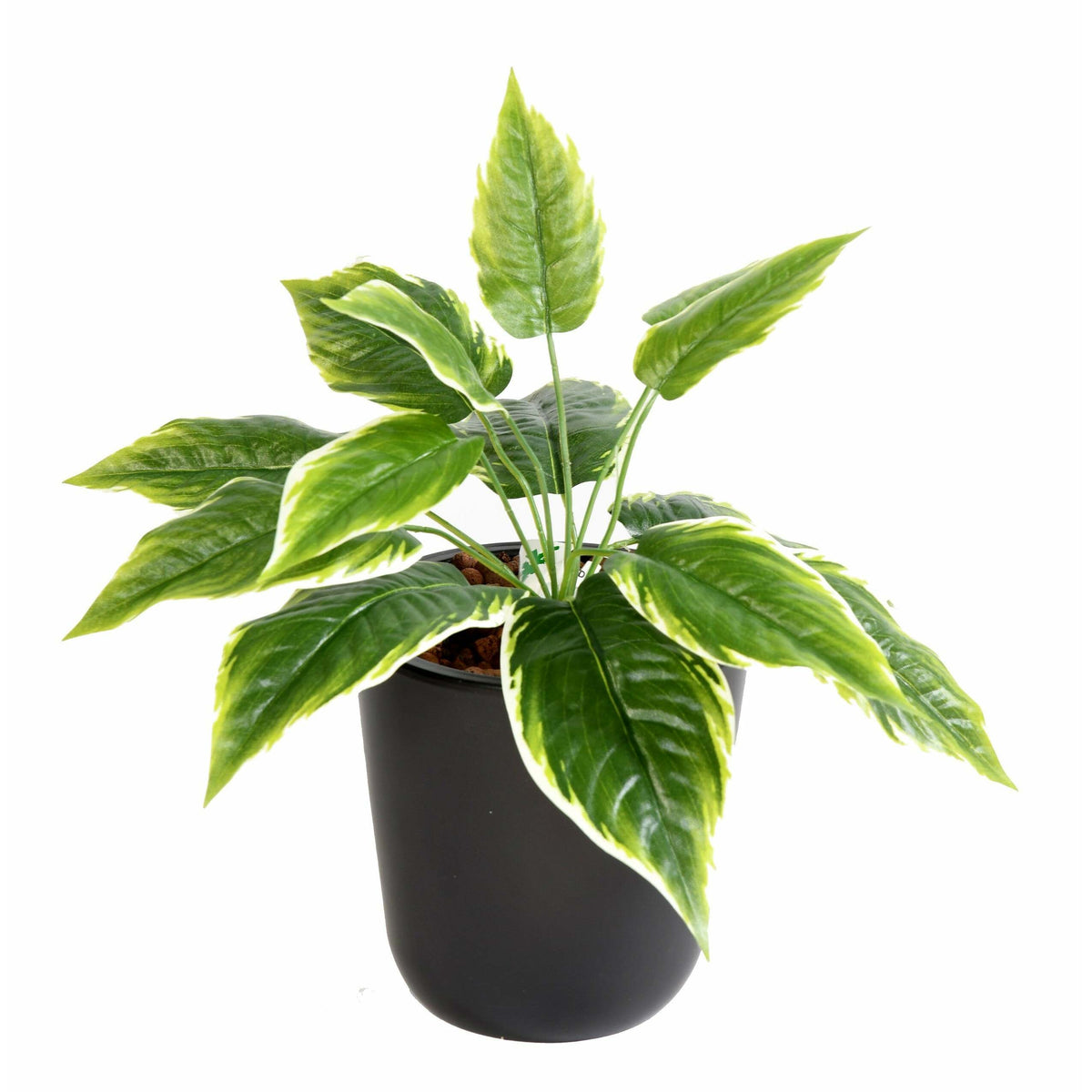 Plante artificielle Hosta mini en piquet - plante d'intérieur - H.30cm panaché E2