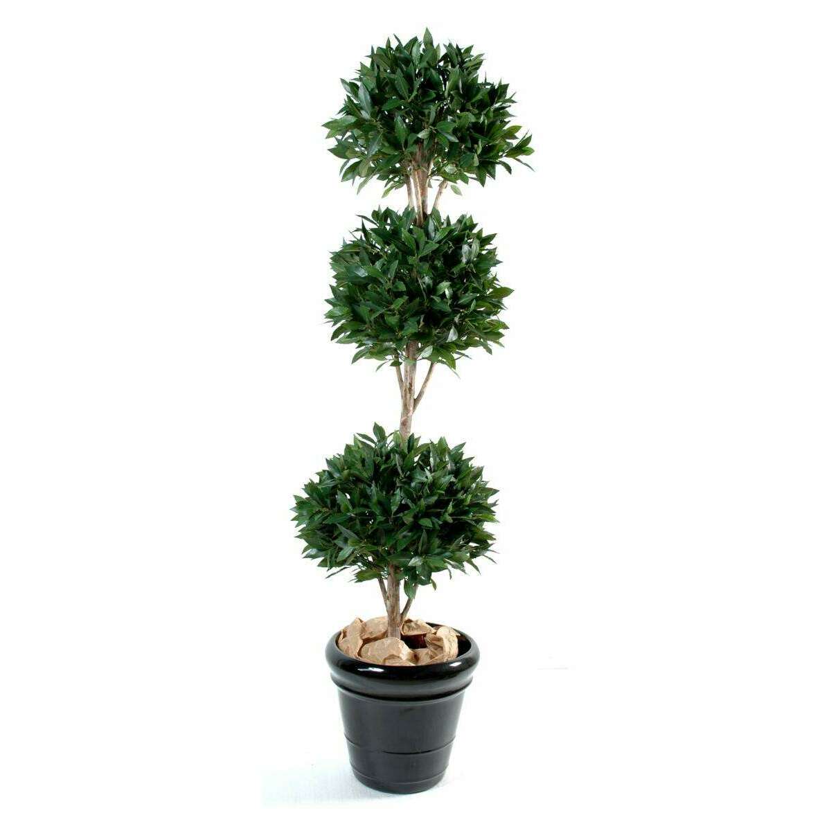 Plante artificielle Laurier 3 boules - décoration d'intérieur - H.165 cm