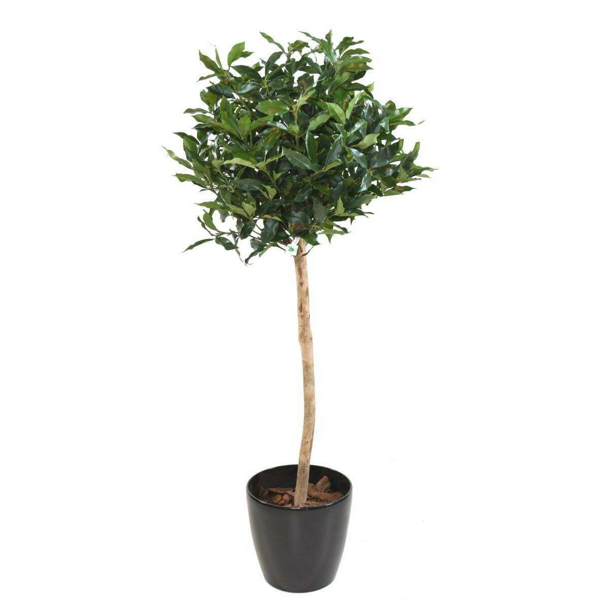 Plante artificielle Laurier Lusitanica tige - plante d'intérieur - H.140cm vert