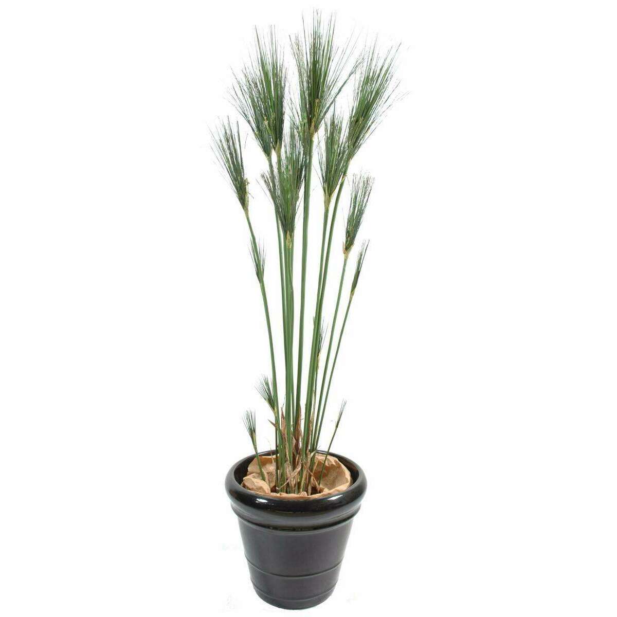 Plante artificielle Papyrus Cyperus du Nil en pot - intérieur - H. 155cm vert