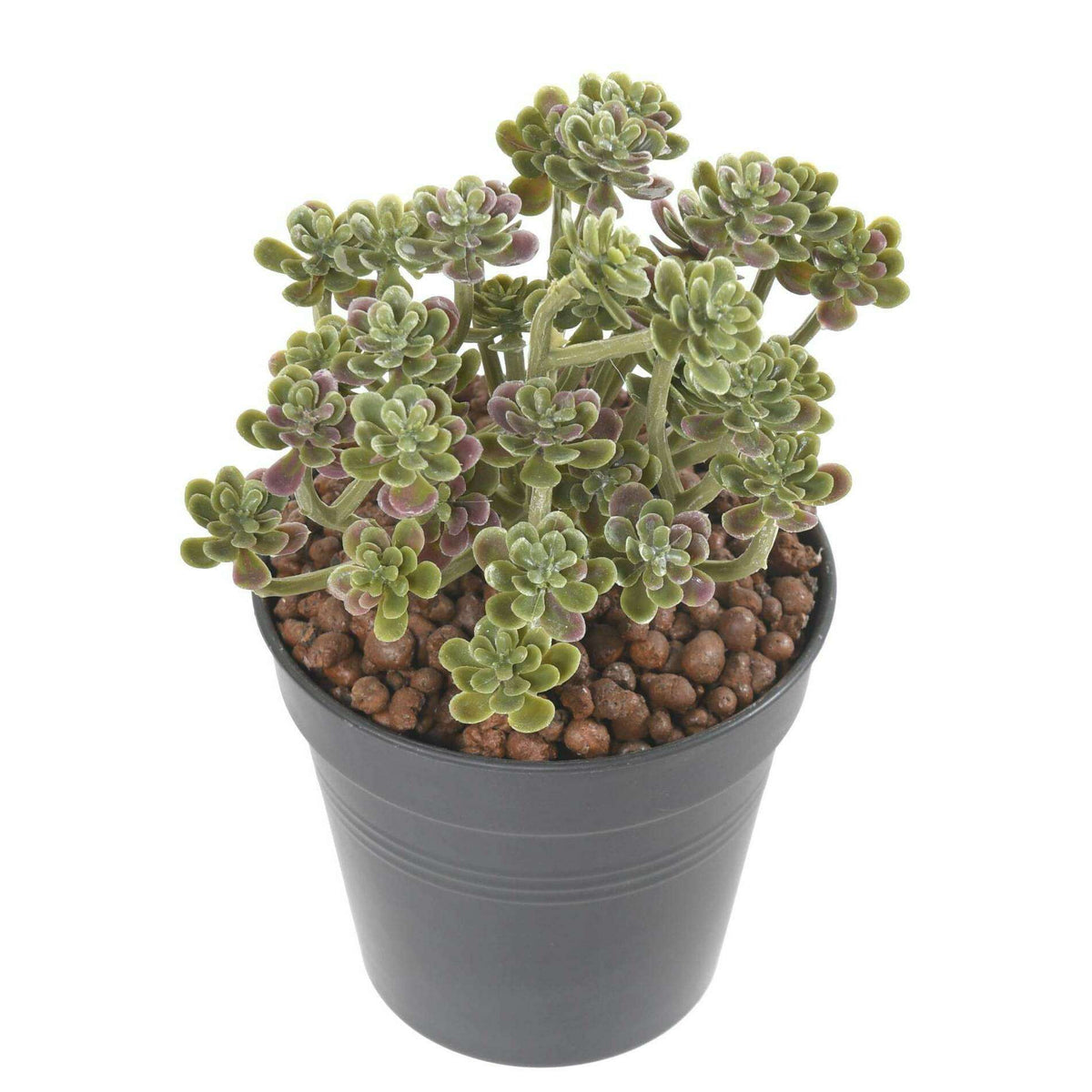 Plante artificielle Succulente en piquet - cactus artificiel intérieur - H.13cm M1