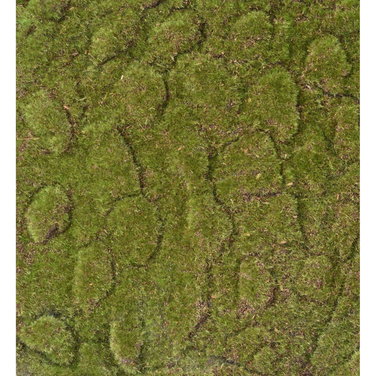 Plaque Mousse artificielle - décoration murale - 50x50cm vert ETG MEZZA