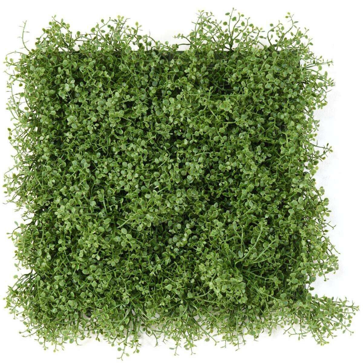 Plaque végétale artificielle Helixine - décoration murale - 31x31cm vert - C3
