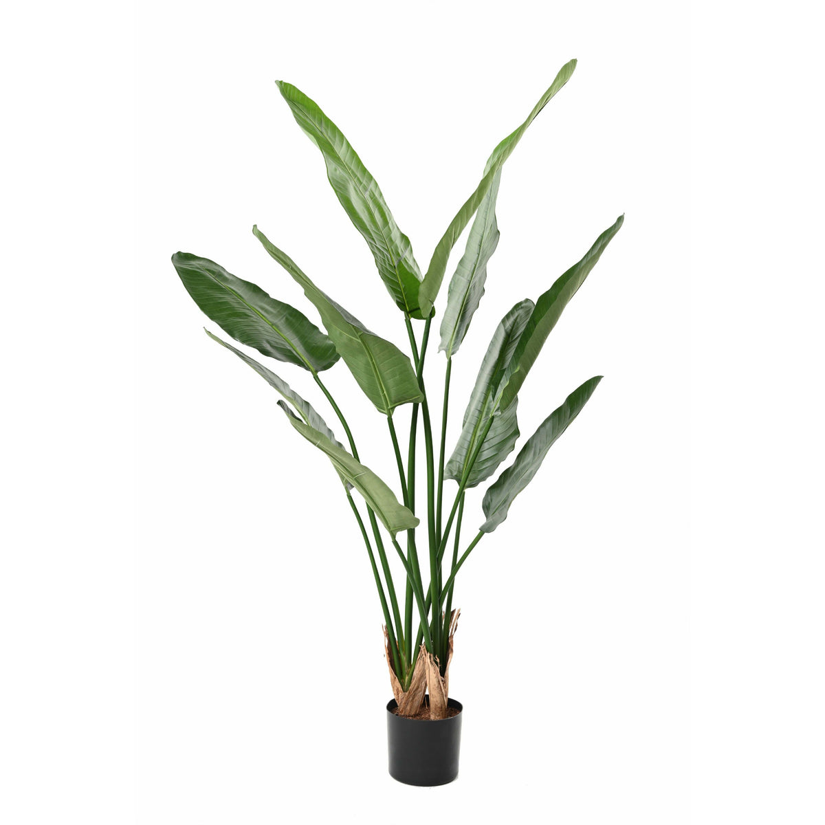 Plante artificielle Strelitzia Nicolai - décoration d'intérieur - H.150cm vert