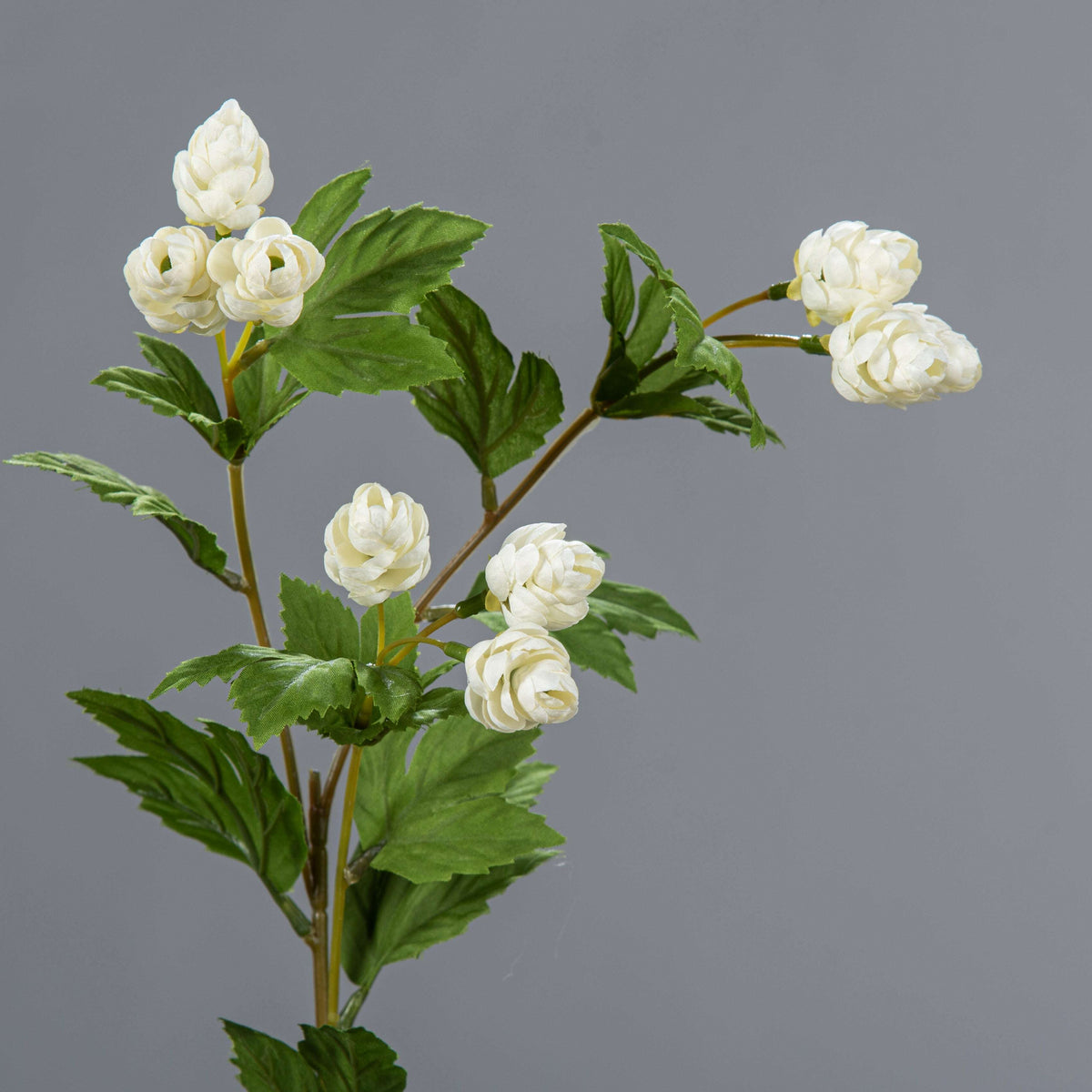 Tige artificielle Houblon – composition florale - H.78cm crème R2