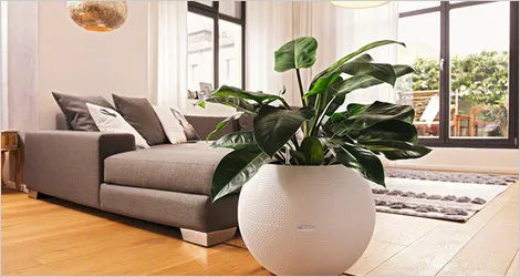 Pourquoi choisir des plantes artificielles ?