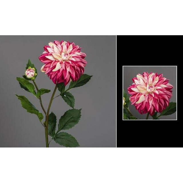 Fleur artificielle de Dahlia avec un bouton - décoration d'intérieur - H.79 cm - Fuchsia - Q3