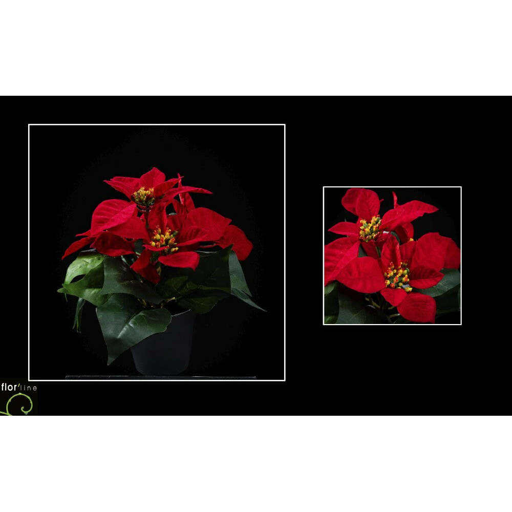 fleur artificielle poinsettia velours en pot ROUGE H.15 cm NOA1