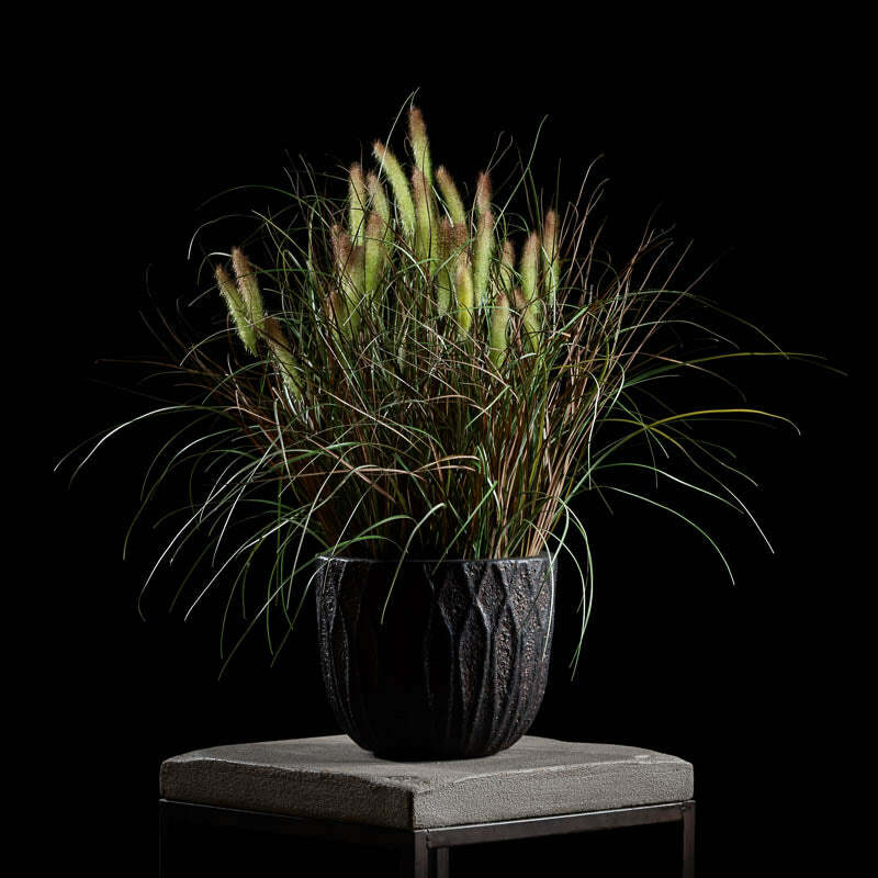Graminé pennisetum en pot vert/brun - décoration d'intérieur - H.80cm DEPOT