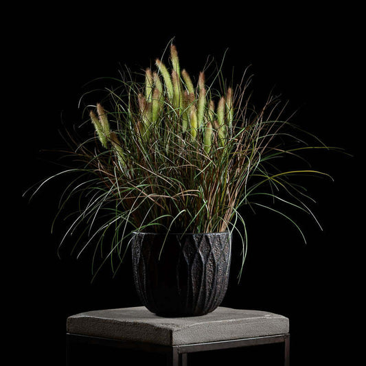 Graminé pennisetum en pot vert/brun - décoration d'intérieur - H.80cm DEPOT
