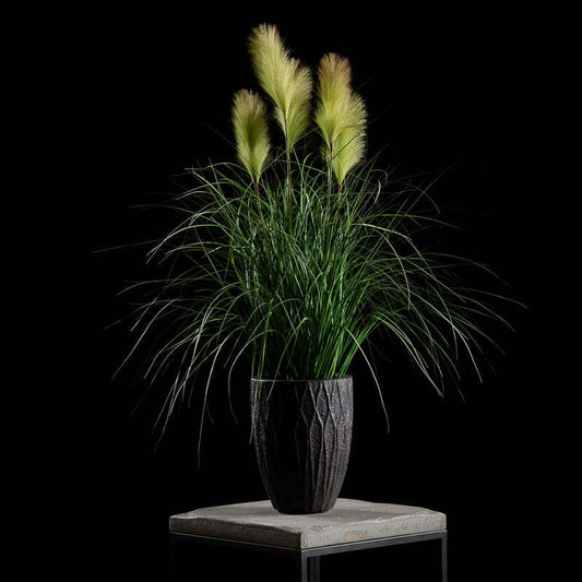 Herbe de la pampa en pot 5 plumeaux crème - décoration d'intérieur - H.110cm