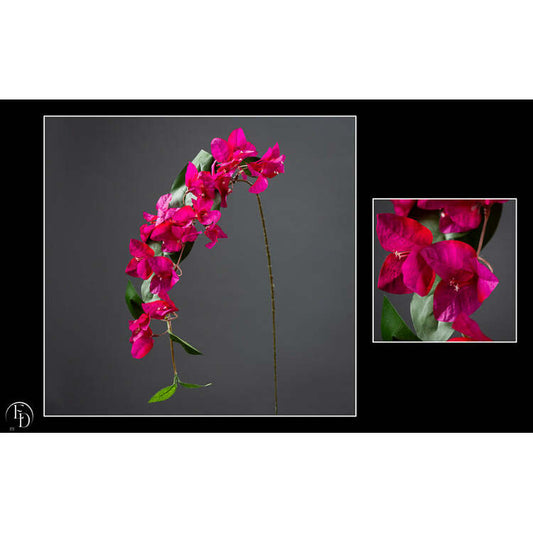 Fleur artificielle tige de bougainvillier - décoration d'intérieur - H. 78 cm fuschia - Q3