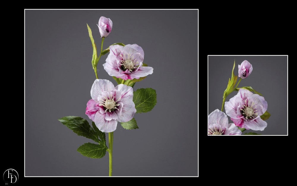 Hellébore artificielle crème et rose - H.57 cm – Douceur romantique et charme naturel