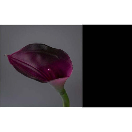 Fleur artificielle Arum - décoration d'intérieur - H. 65cm bordeaux - P4