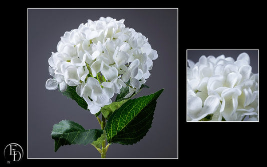 Hortensia artificiel crème 66 cm – Élégance intemporelle et douceur naturelle