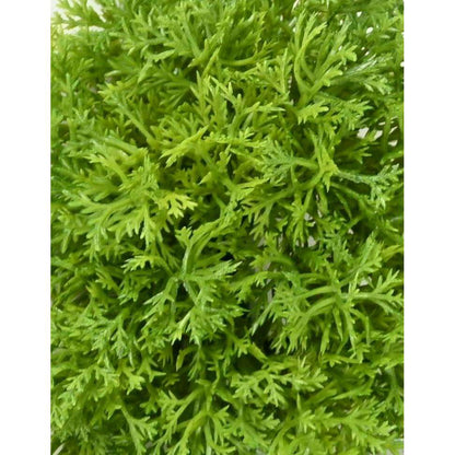 3 Galets de Mousse artificielle - décoration d'intérieur - 9 à 15cm vert clair ETG MEZZA