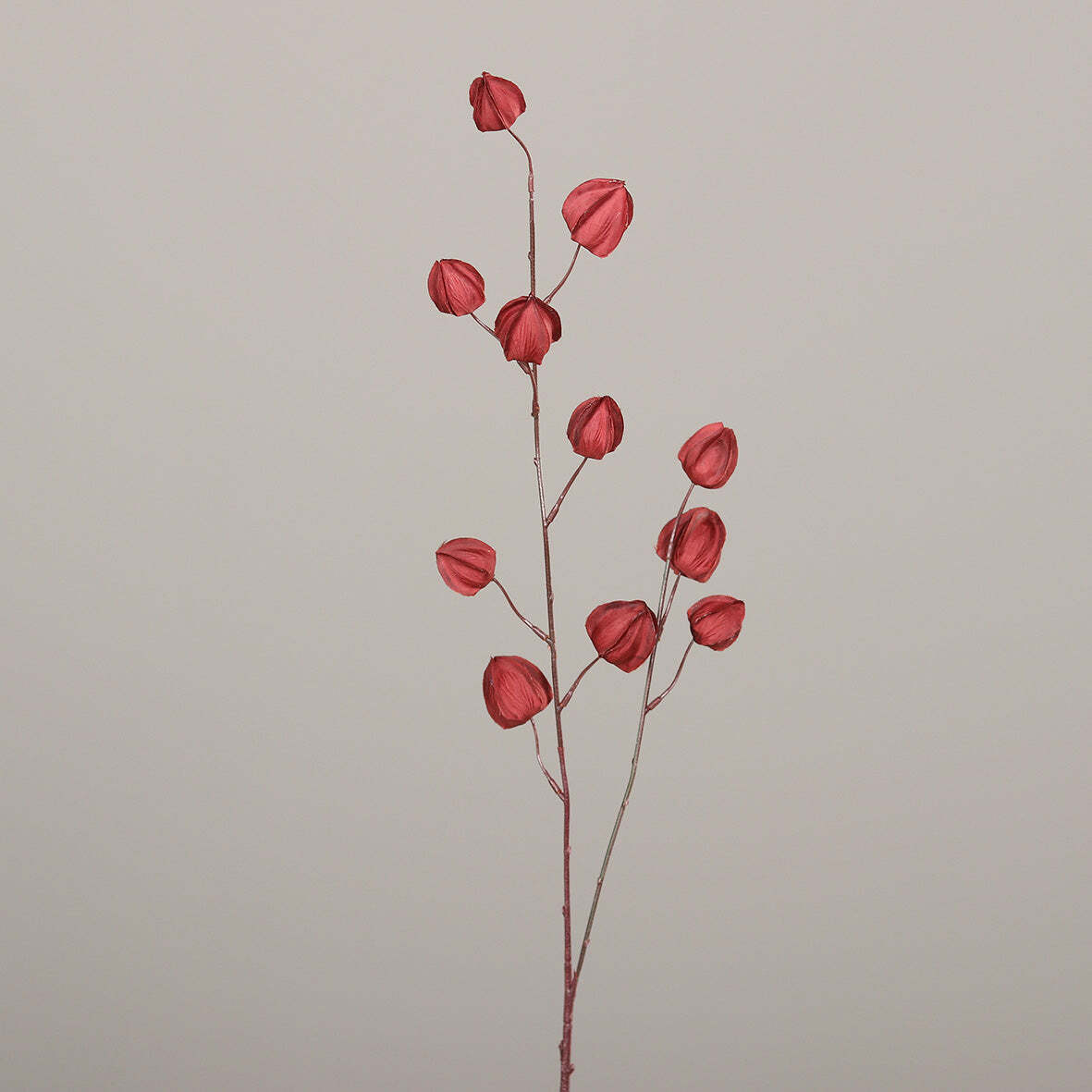 Branche de Physalis artificiel - création de bouquet - H.90cm pourpre - S3