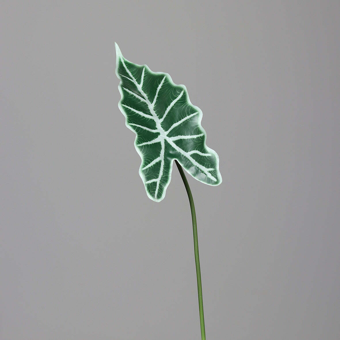 Feuille artificielle d'Alocasia - décoration d'intérieur - H.45cm - Ver Z3