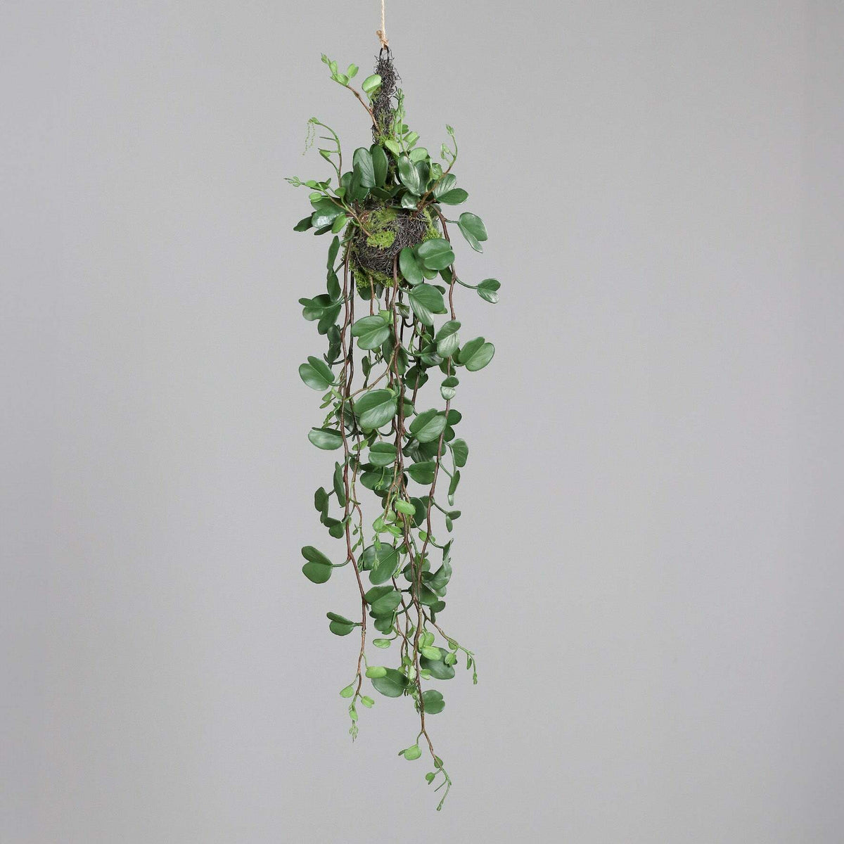 Branche artificielle Epiphyte à suspendre V1 - suspension végétale - H.120cm Z2