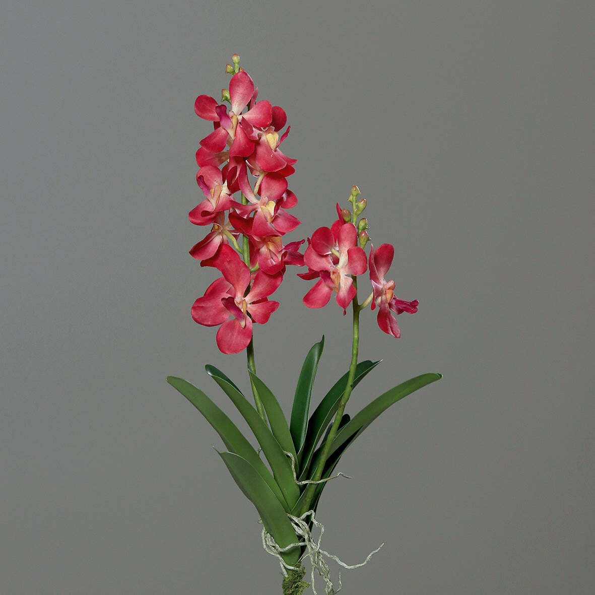 Fleur artificielle Orchidée Vanda feuillage et racines H.63cm rose vif R2