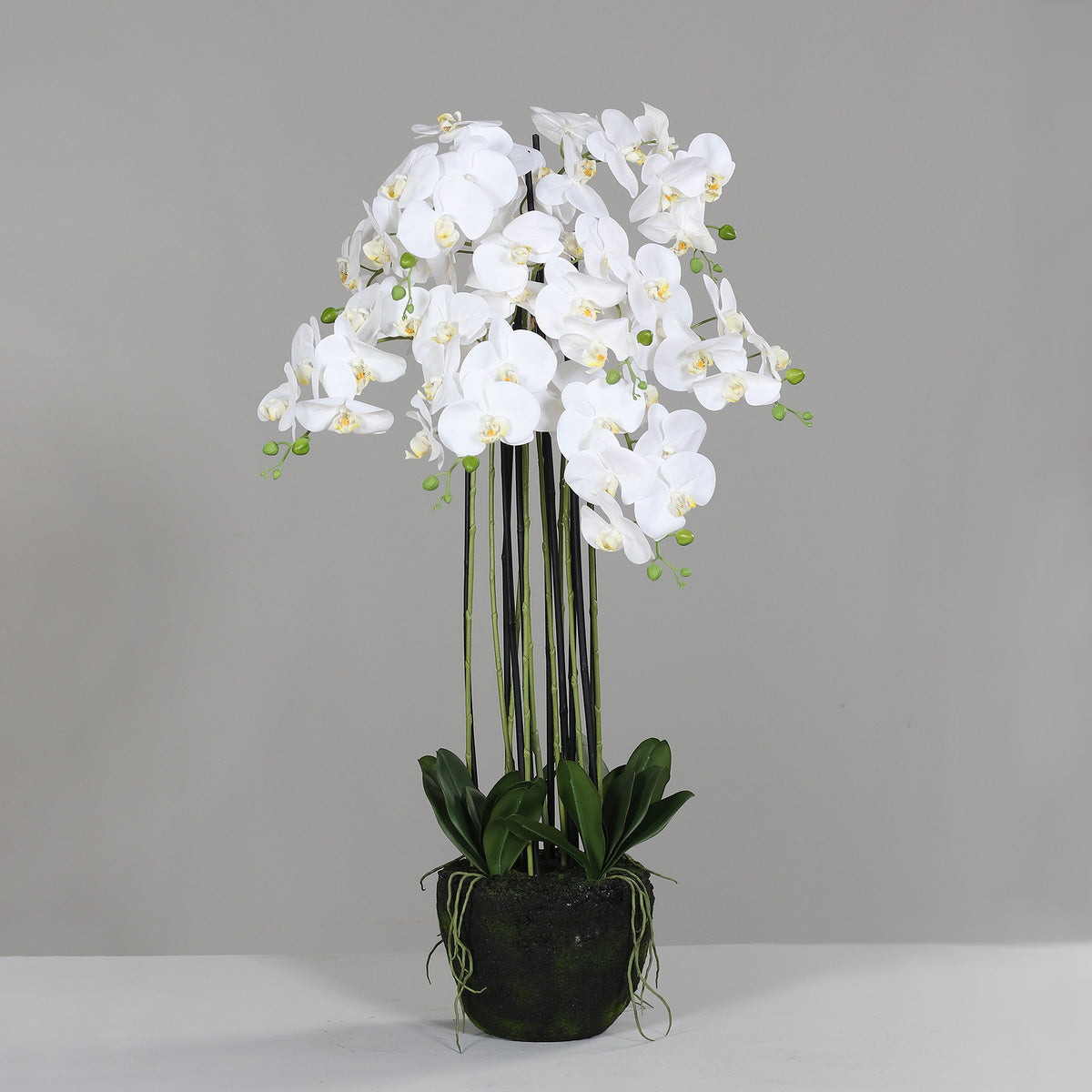 Fleur artificielle Orchidée Phalaénopsis en motte - plante d'intérieur - H.110cm crème - P4
