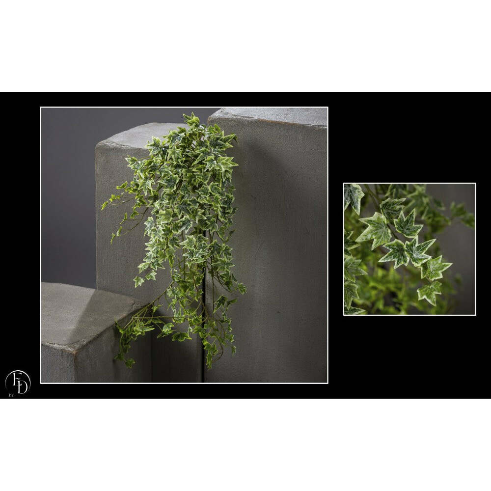 Chute de lierre vert panaché - décoration d'intérieur - H.81 cm -  S4