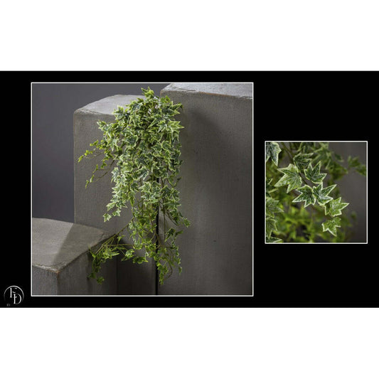 Chute de lierre vert panaché - décoration d'intérieur - H.81 cm -  S4