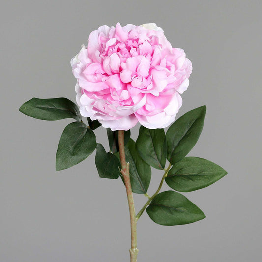 Fleur artificielle Pivoine Rose - composition florale - H.63 cm - P3