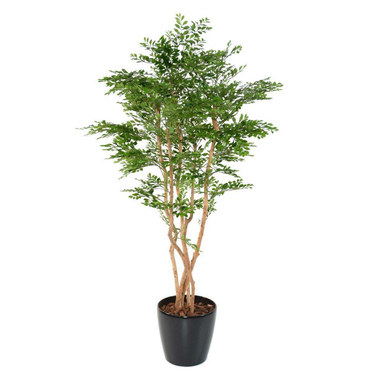 Arbre artificiel Acacia 5 troncs - plante d'intérieur - H.180cm vert