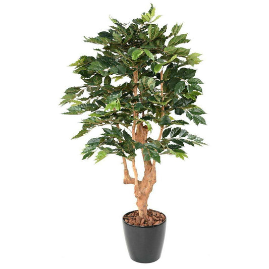 Arbre artificiel Caféier 5 branches - plante d'intérieur - H.180cm vert
