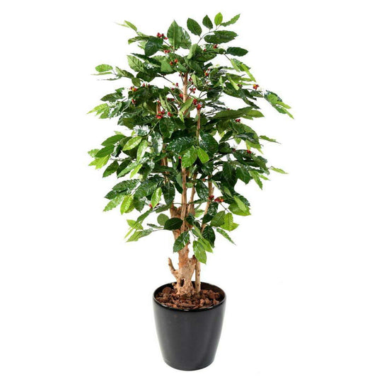 Arbre artificiel Caféier fleurs tronc noueux - plante d'intérieur - H.150cm C
