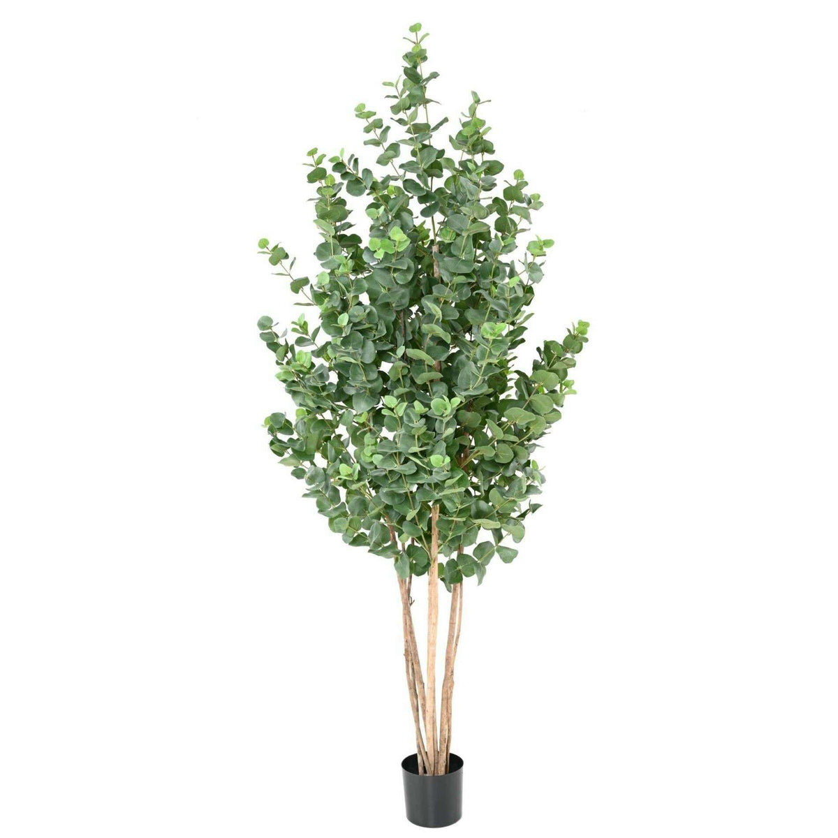 Arbre artificiel Eucalyptus Gunnii - plante synthétique d'intérieur - H.190cm