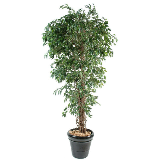 Arbre artificiel Ficus lianes petites feuilles - plante d'intérieur - H.180cm vert