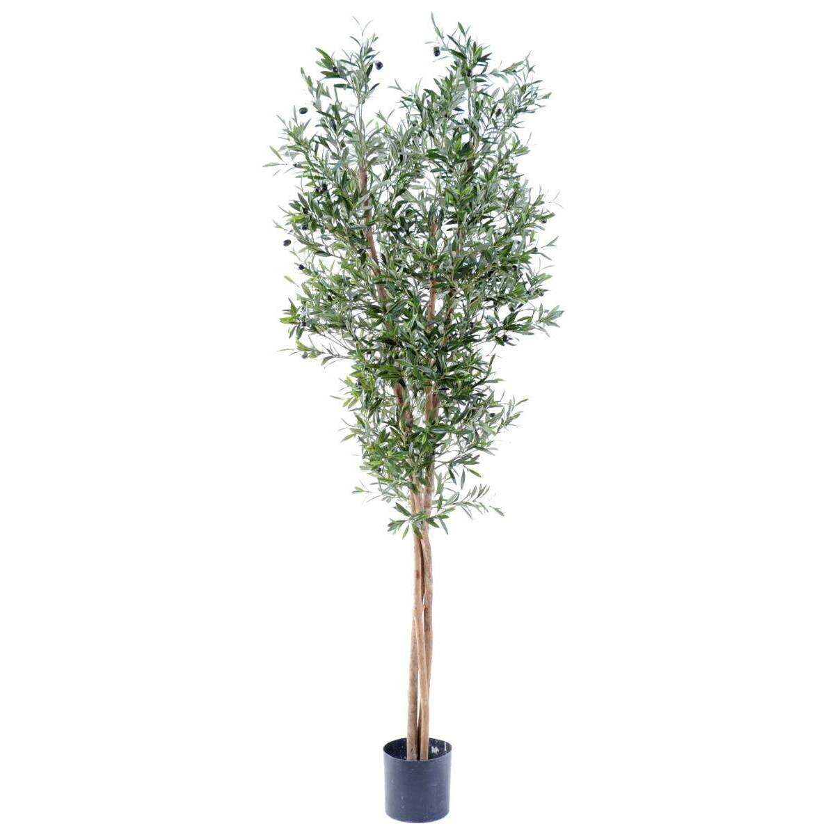 Arbre artificiel Olivier large 3 troncs - décoration pour intérieur - H.210cm