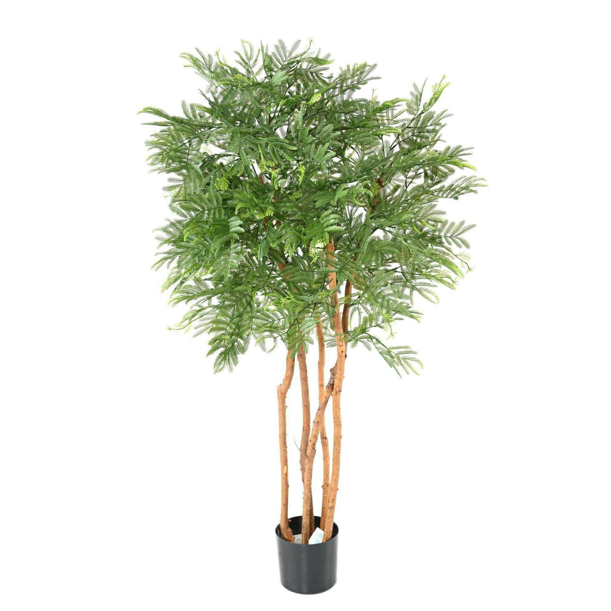 Arbre artificiel Tamarin UV (mimosa) - plante intérieur extérieur - H.150cm