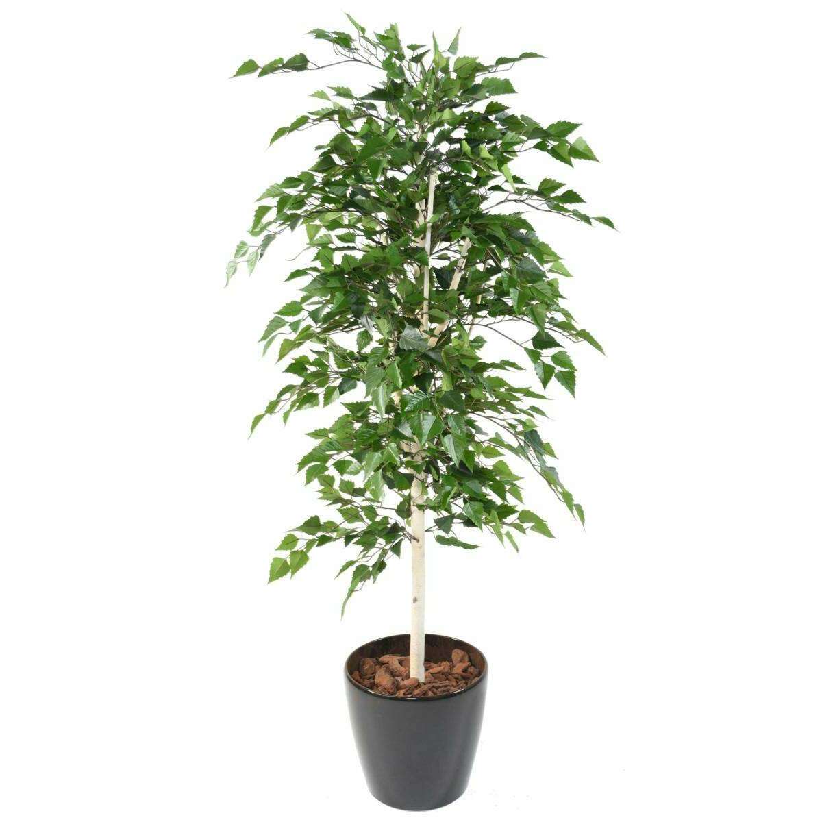 Arbre forestier artificiel Bouleau TB - décoration d'intérieur - H.180cm