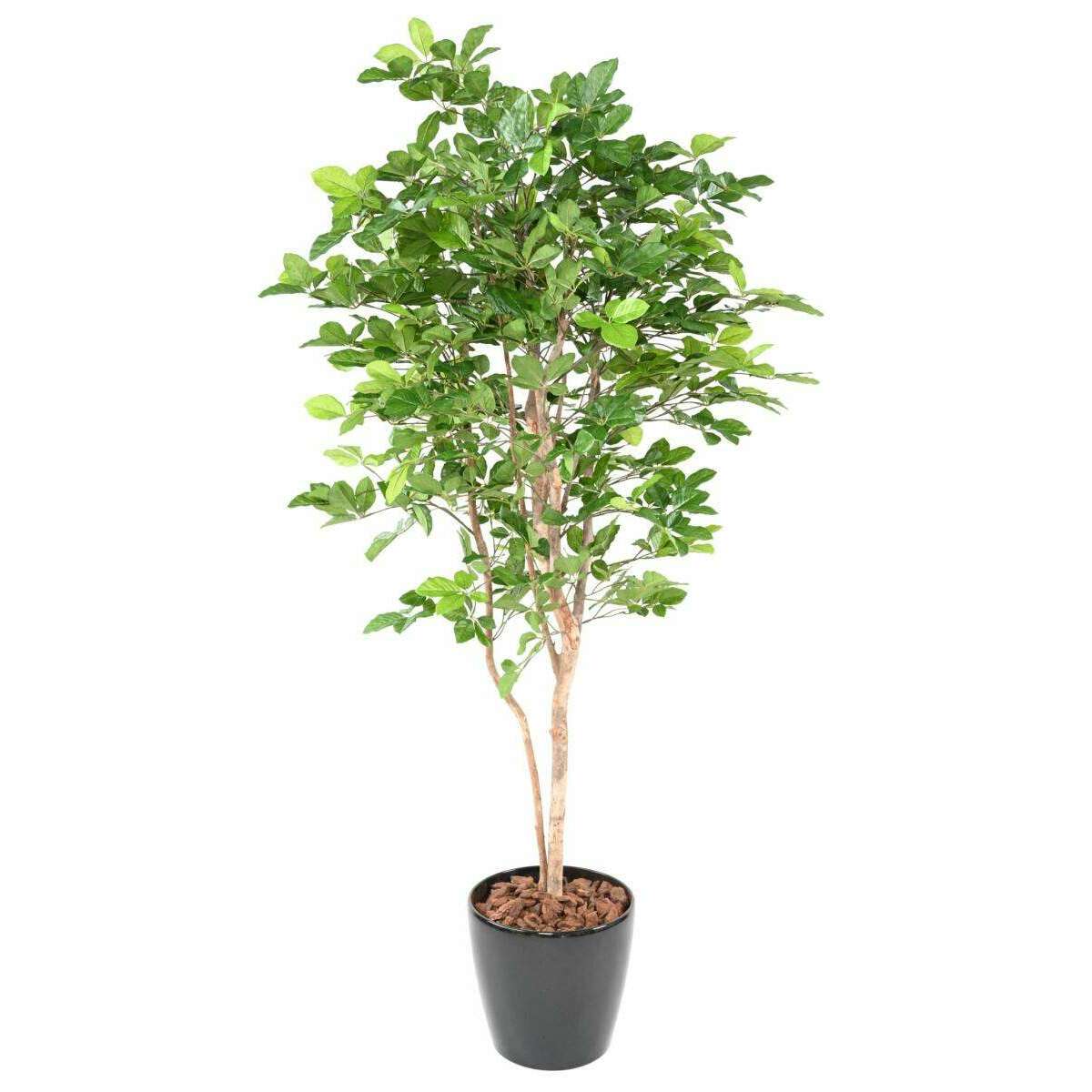 Arbre forestier artificiel Hêtre Grandifolia - décoration d'intérieur - H.190cm