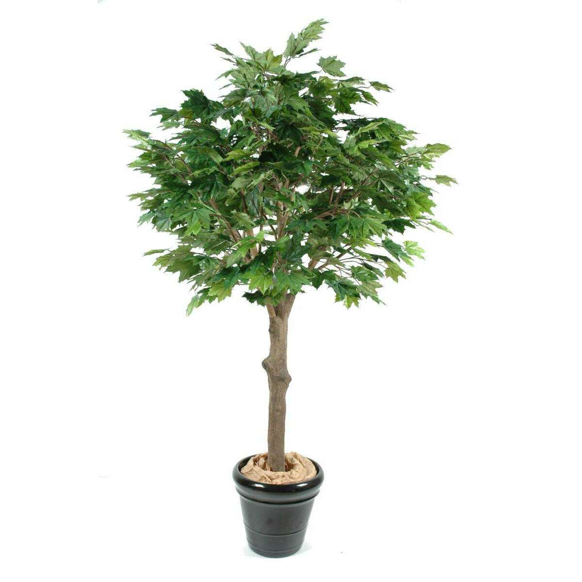 Arbre forestier artificiel Platane tête - décoration d'intérieur - H.260cm