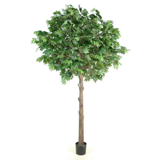 Arbre forestier artificiel Platane tête - intérieur - H.300cm