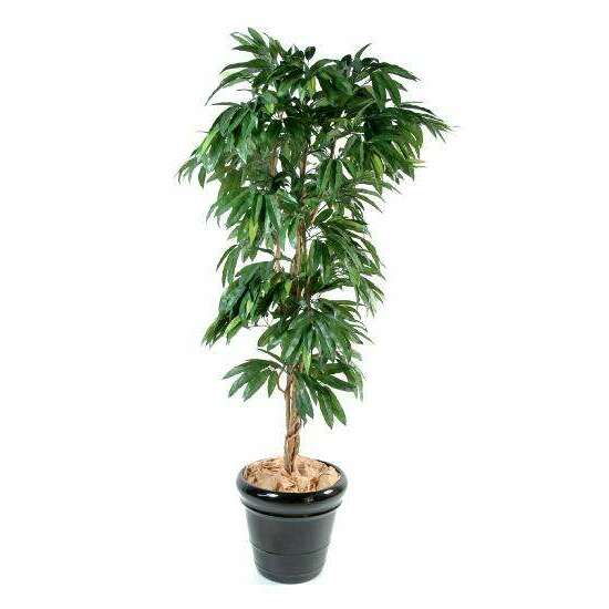 Arbre fruitier artificiel Manguier - plante semi-naturelle d'intérieur - H.180cm