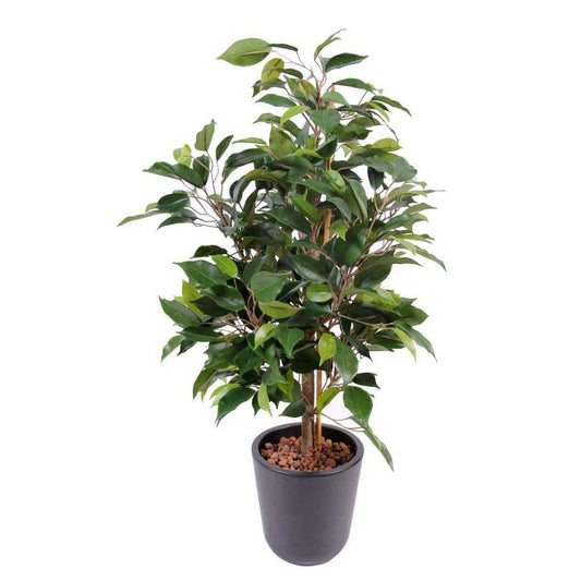 Arbuste artificiel Ficus Natasja - plante synthétique intérieur - H.60cm - F6