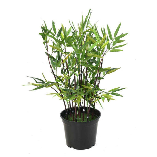 Bambou artificiel arbuste cannes noires - plante en pot d'intérieur - H.60cm vert B6