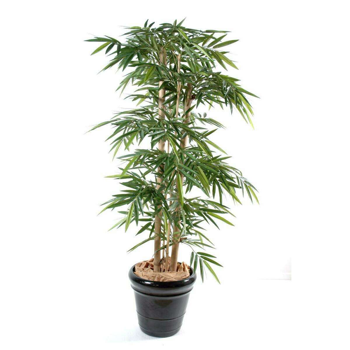 Bambou artificiel New 4 grosses cannes - intérieur - H.175cm vert SHOW