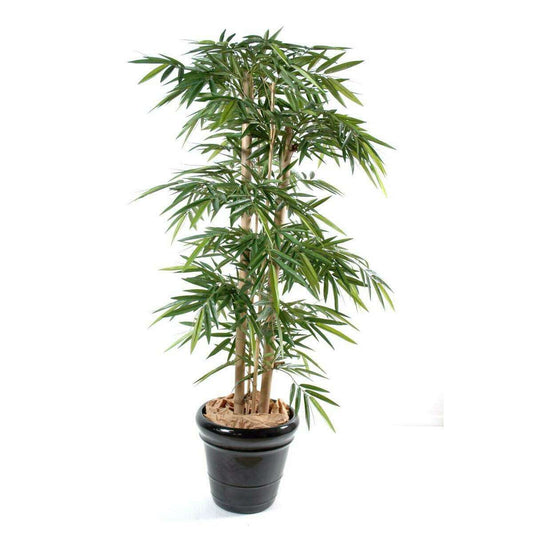 Bambou artificiel New 4 grosses cannes - intérieur - H.175cm vert SHOW