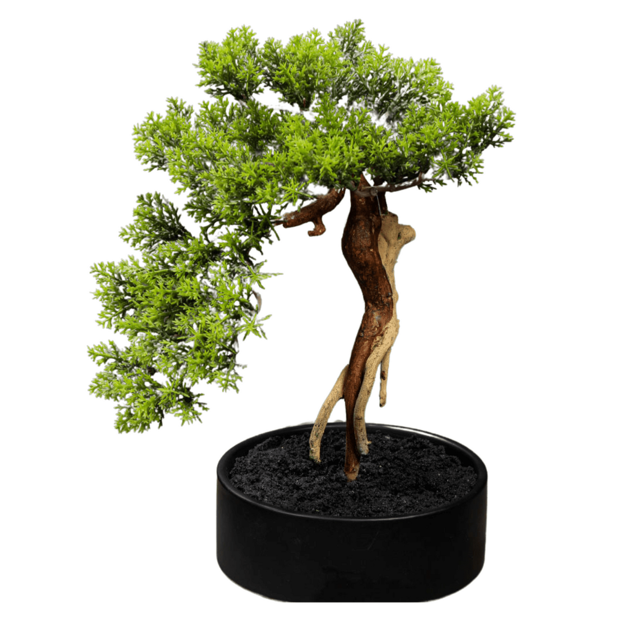 Bonsaï Thuya artificiel en pot - plante synthétique pour intérieur - H.30cm - Z4