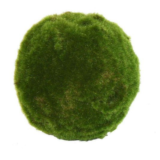 Boule de mousse artificielle - décoration d'intérieur - H.17cm vert ETG MEZZA