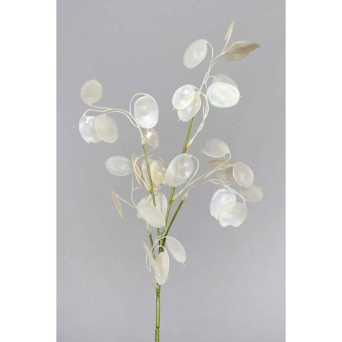Branche artificielle Lunaire Monnaie du Pape – création de bouquet - H.71cm-Q3
