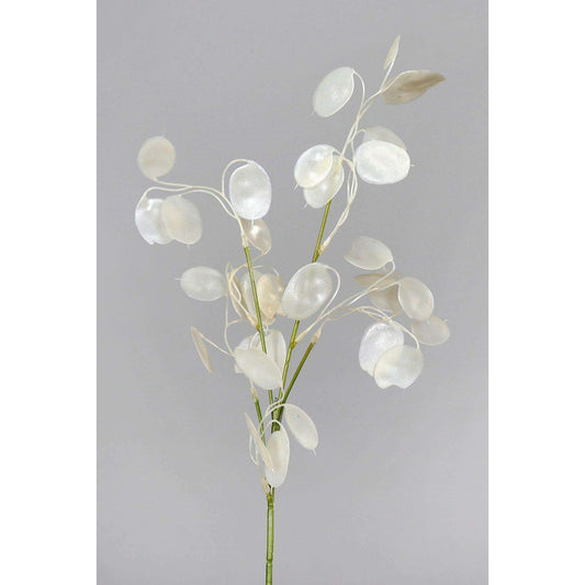 Branche artificielle Lunaire Monnaie du Pape – création de bouquet - H.71cm-Q3
